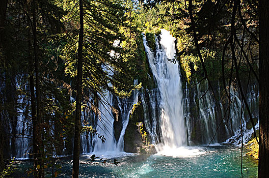 瀑布,纪念,州立公园,加利福尼亚,美国