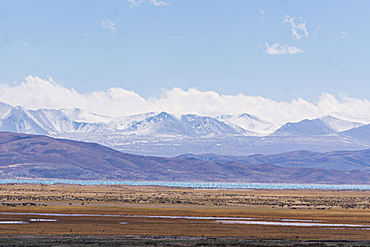 西藏雪山