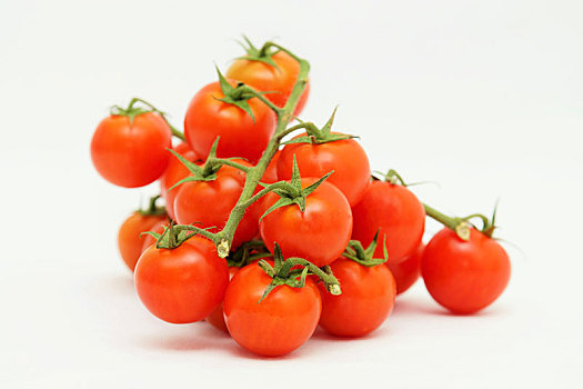 新鲜,有机,西红柿,白色背景,背景