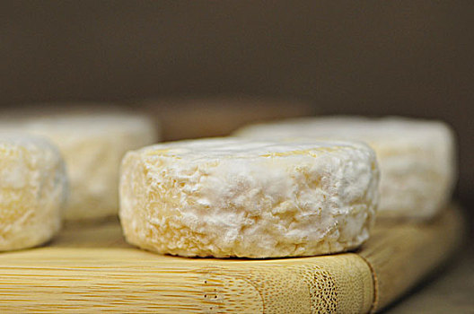 朗格多克-鲁西永大区,法国,山羊乳酪