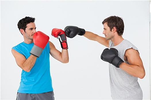 侧面视角,两个,男性,拳击手,练习