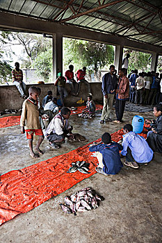 鱼市,阿瓦萨,埃塞俄比亚,水产拍卖,销售,鱼,售出,非洲