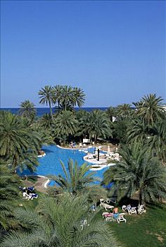 游泳池,酒店,突尼斯,非洲