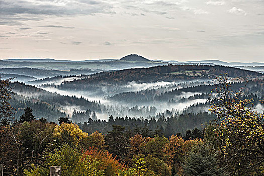 树林,晨雾,巴登符腾堡,德国