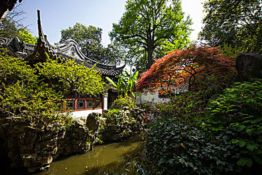 上海豫园,园林,植物园