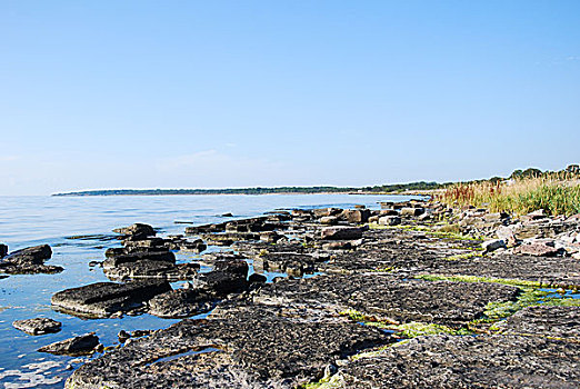 岩石海岸