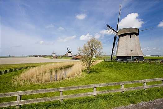 风车,靠近,阿克马镇,荷兰