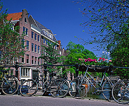 阿姆斯特丹,自行车