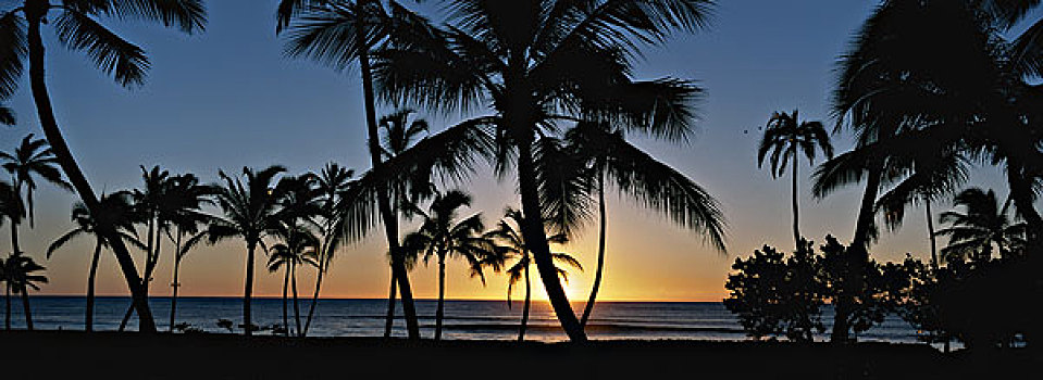 夏威夷,瓦胡岛,风景,漂亮,日落,海洋,大幅,尺寸