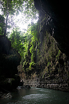 茂密,树,河,绿色,峡谷,爪哇,印度尼西亚