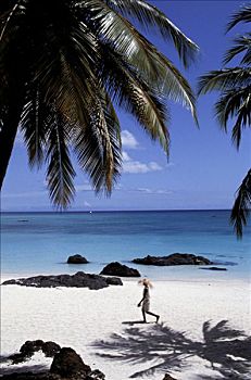安的列斯群岛,帽子,海滩,喜爱