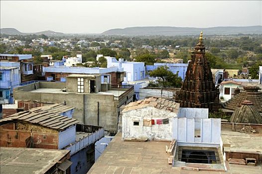 屋顶,拉贾斯坦邦,印度