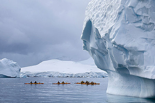 漂流者,冰山,南极