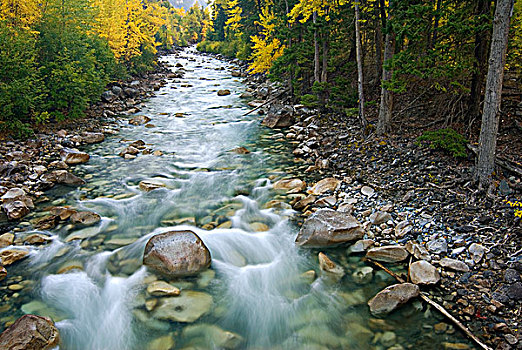 秋色,溪流,不列颠哥伦比亚省,加拿大
