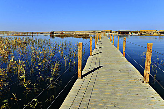 居延海