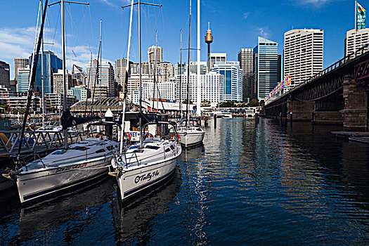 澳大利亚,悉尼,港口