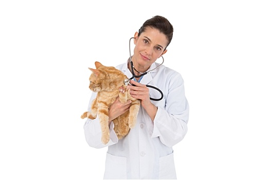 兽医,检查,猫,听诊器