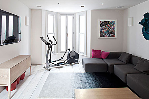 客厅,健身器械,连栋房屋,伦敦