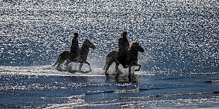 骑马,海滩,斯奈山半岛,冰岛