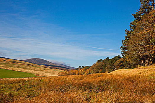 风景,诺森伯兰郡,英格兰