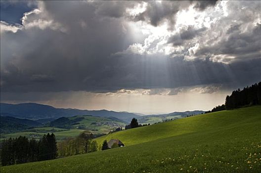 乌云,阳光,黑森林,巴登符腾堡,德国