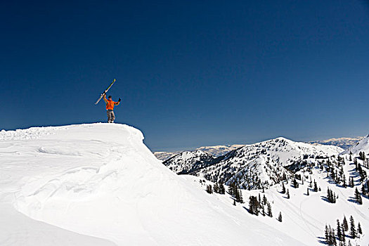 美国,犹他,阿尔泰,专家,滑雪者,欢呼,上面,山,拿着,向上,滑雪