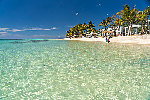 梦幻爱情海滩,棕榈树,湾,海龟湾,毛里求斯,非洲