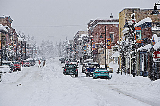维多利亚,道路,市区,街道,暴风雪,加拿大