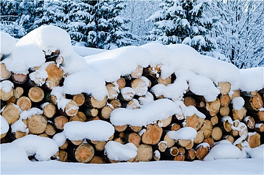 切削,原木,冬天,木头