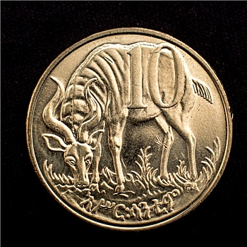 羚羊,硬币