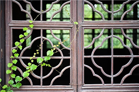 中国,木质,窗户,绿色植物