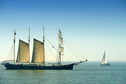 四桅帆船,港口,北荷兰省,荷兰