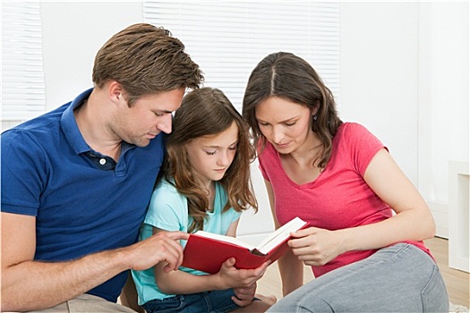 家庭,读,书本