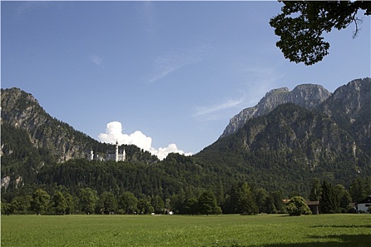 全景,城堡,新天鹅堡,巴伐利亚阿尔卑斯山