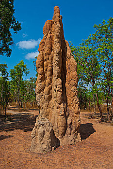 蚁丘,国家公园,北部地区,澳大利亚,大洋洲