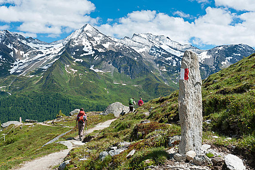 三个,远足,徒步旅行,红色,白色,标记,石头,雪山,靠近,阿尔卑斯山,南蒂罗尔,意大利,欧洲