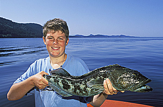 海洋,钓鱼,男孩,展示,抓住,温哥华岛,不列颠哥伦比亚省,加拿大