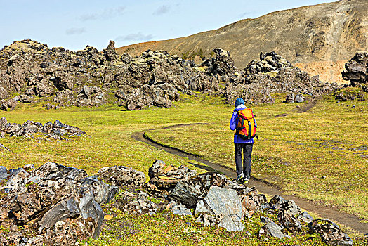 小路,长途旅行者,走,熔岩原,兰德玛纳,自然保护区,高地,南方,区域,冰岛,欧洲