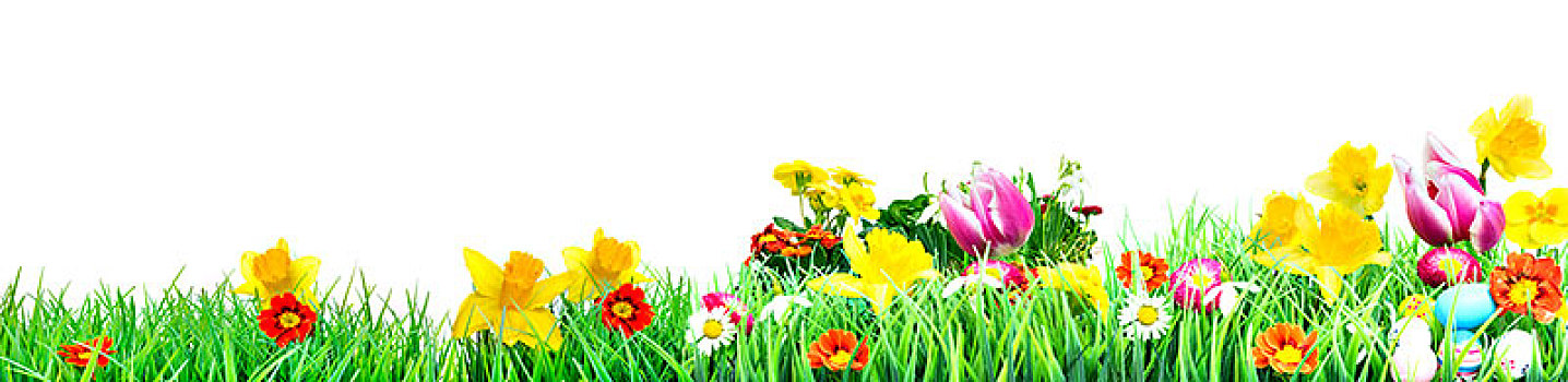 复活节,草地,春天,复活节彩蛋