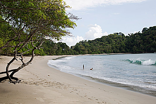 海滩,雨林,哥斯达黎加