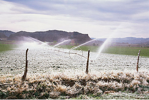 灌溉,霜,艾斯盖兰特荒野,犹他,美国