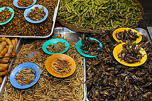 烤制食品,蚕,油炸,蟋蟀,泰国,特色食品,夜市,步行街,清莱,省,北方,亚洲