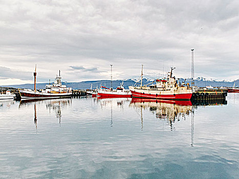 渔船,港口,冰岛
