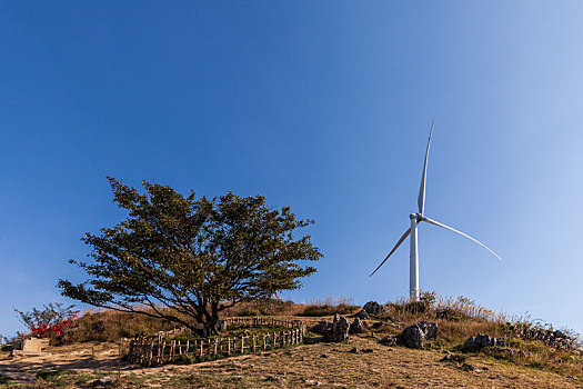 阳光下的宜昌百里荒风景区