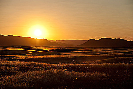 日落,公园,纳米布沙漠,纳米比亚