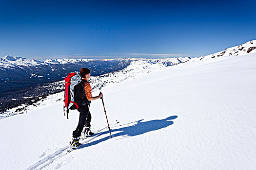 滑雪,登山者,攀登,西玛,山,高处,白云岩,山脉,山谷,背影,省,意大利,欧洲