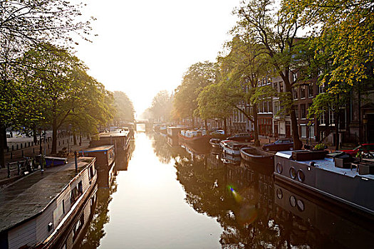 运河,日出,阿姆斯特丹,荷兰,北荷兰