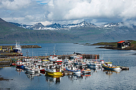 港口,渔船,冰岛,欧洲