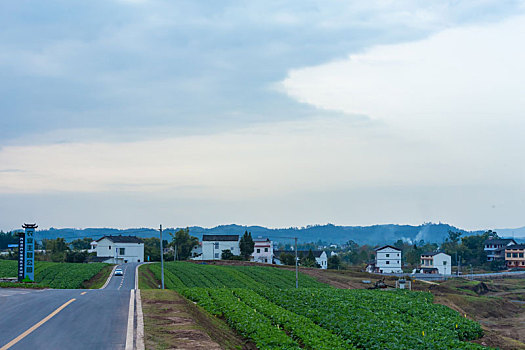 新农村蔬菜基地