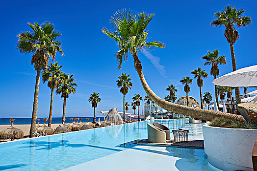 假期,胜地,游泳池,棕榈树,地中海,海滩